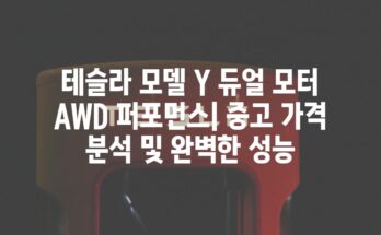 테슬라 모델 Y 듀얼 모터 AWD 퍼포먼스| 중고 가격 분석 및 완벽한 성능