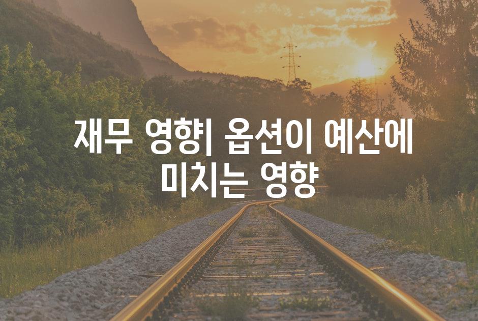  재무 영향| 옵션이 예산에 미치는 영향