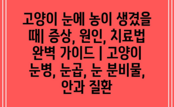 고양이 눈에 농이 생겼을 때| 증상, 원인, 치료법 완벽 가이드 | 고양이 눈병, 눈곱, 눈 분비물, 안과 질환