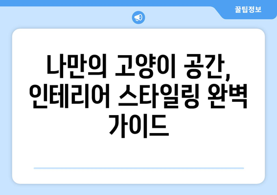 사랑스러운 고양이방에 초대합니다| 나만의 고양이 공간 디자인 가이드 | 고양이 인테리어, 고양이 방 꾸미기, 고양이 집