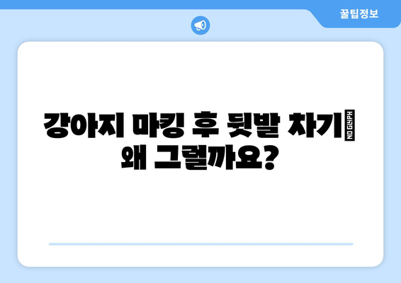 강아지 마킹 후 뒷발 차기| 원인 분석과 행동 교정 가이드 | 강아지 행동 문제, 훈련, 뒷발 차기