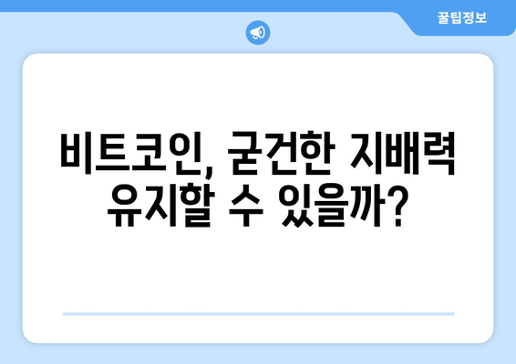 가상화폐 시장의 불확실성| 비트코인과 잡코인, 미래는 어디로? | 가상화폐, 투자, 전망, 분석