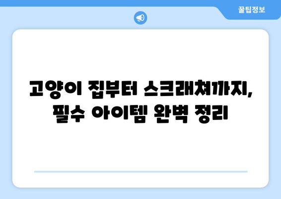 사랑스러운 고양이방에 초대합니다| 나만의 고양이 공간 디자인 가이드 | 고양이 인테리어, 고양이 방 꾸미기, 고양이 집