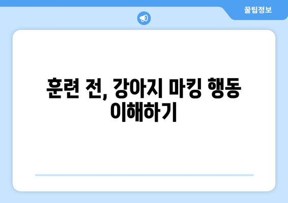 강아지 마킹 후 뒷발 차기| 원인 분석과 행동 교정 가이드 | 강아지 행동 문제, 훈련, 뒷발 차기