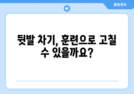 강아지 마킹 후 뒷발 차기| 원인 분석과 행동 교정 가이드 | 강아지 행동 문제, 훈련, 뒷발 차기