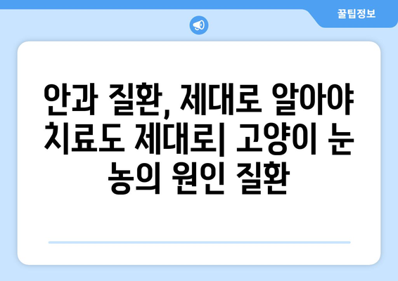 고양이 눈에 농이 생겼을 때| 증상, 원인, 치료법 완벽 가이드 | 고양이 눈병, 눈곱, 눈 분비물, 안과 질환