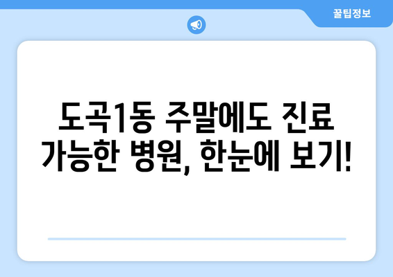 서울시 강남구 도곡1동 일요일 휴일 공휴일 야간 진료병원 리스트