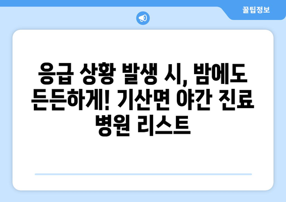 충청남도 서천군 기산면 일요일 휴일 공휴일 야간 진료병원 리스트