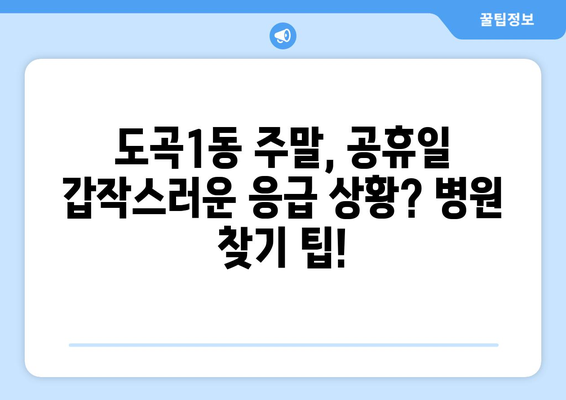 서울시 강남구 도곡1동 일요일 휴일 공휴일 야간 진료병원 리스트