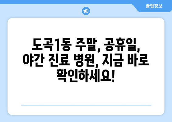 서울시 강남구 도곡1동 일요일 휴일 공휴일 야간 진료병원 리스트