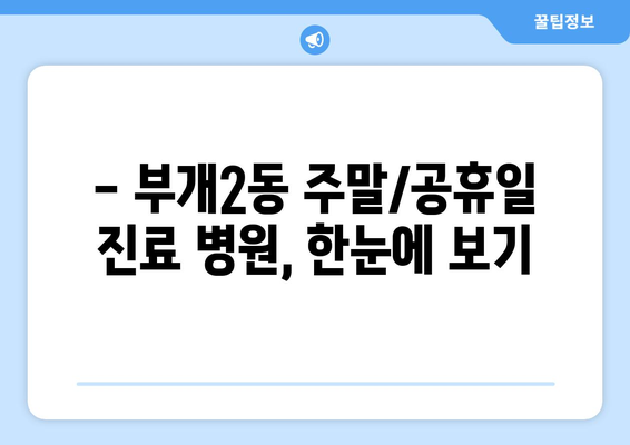 인천시 부평구 부개2동 일요일 휴일 공휴일 야간 진료병원 리스트