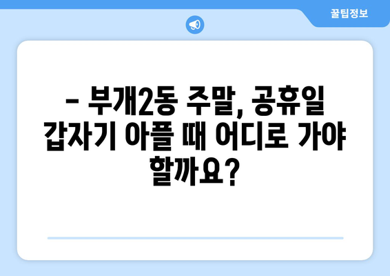 인천시 부평구 부개2동 일요일 휴일 공휴일 야간 진료병원 리스트