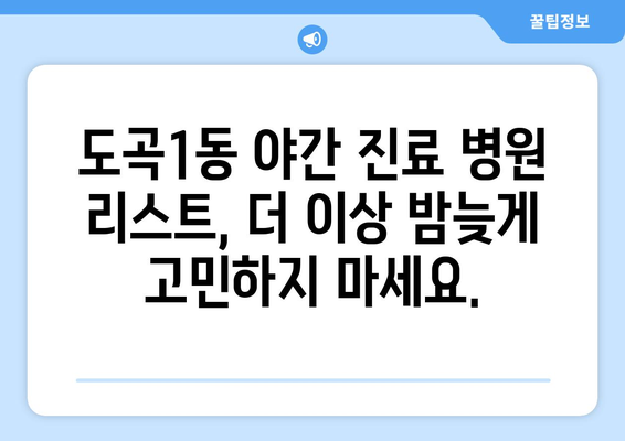 서울시 강남구 도곡1동 일요일 휴일 공휴일 야간 진료병원 리스트