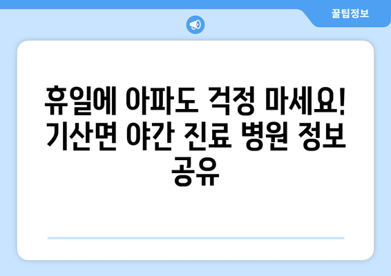 충청남도 서천군 기산면 일요일 휴일 공휴일 야간 진료병원 리스트