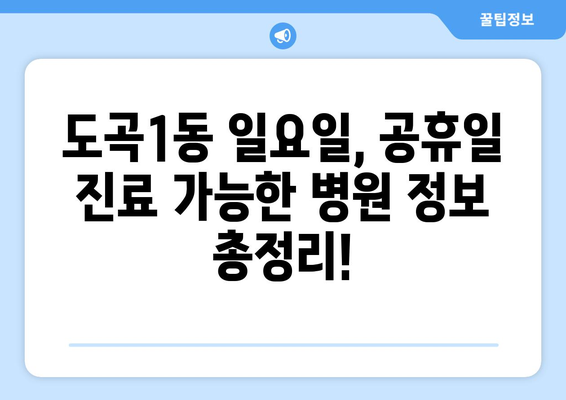 서울시 강남구 도곡1동 일요일 휴일 공휴일 야간 진료병원 리스트