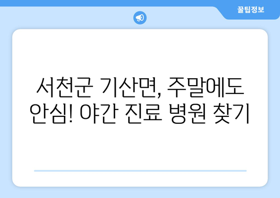 충청남도 서천군 기산면 일요일 휴일 공휴일 야간 진료병원 리스트