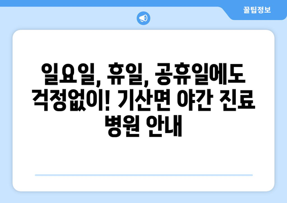 충청남도 서천군 기산면 일요일 휴일 공휴일 야간 진료병원 리스트