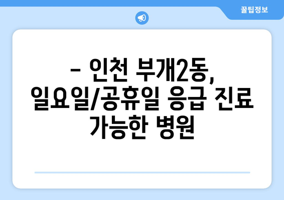 인천시 부평구 부개2동 일요일 휴일 공휴일 야간 진료병원 리스트