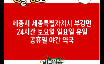 세종시 세종특별자치시 부강면 24시간 토요일 일요일 휴일 공휴일 야간 약국