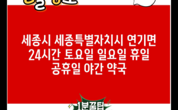 세종시 세종특별자치시 연기면 24시간 토요일 일요일 휴일 공휴일 야간 약국