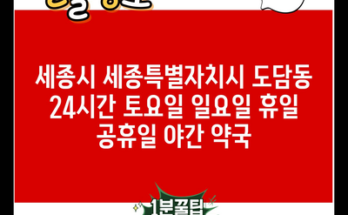 세종시 세종특별자치시 도담동 24시간 토요일 일요일 휴일 공휴일 야간 약국