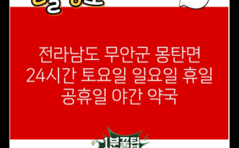 전라남도 무안군 몽탄면 24시간 토요일 일요일 휴일 공휴일 야간 약국