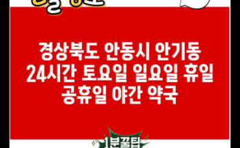 경상북도 안동시 안기동 24시간 토요일 일요일 휴일 공휴일 야간 약국