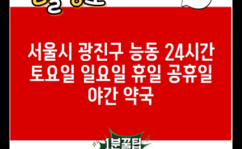 서울시 광진구 능동 24시간 토요일 일요일 휴일 공휴일 야간 약국