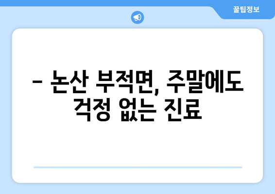 충청남도 논산시 부적면 일요일 휴일 공휴일 야간 진료병원 리스트