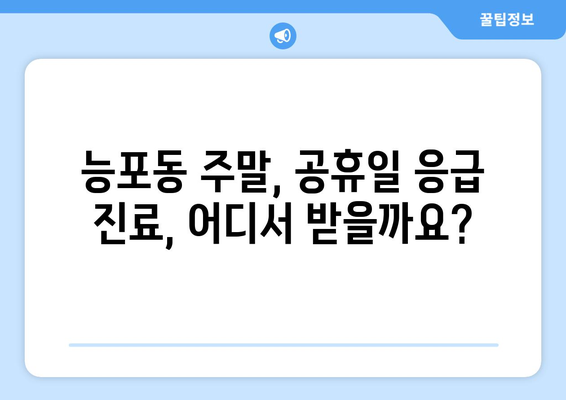 경상남도 거제시 능포동 일요일 휴일 공휴일 야간 진료병원 리스트