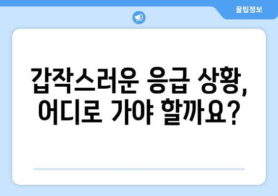 인천시 부평구 청천1동 일요일 휴일 공휴일 야간 진료병원 리스트