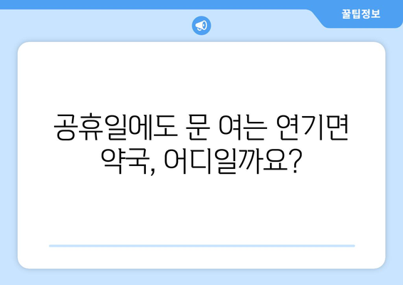 세종시 세종특별자치시 연기면 24시간 토요일 일요일 휴일 공휴일 야간 약국