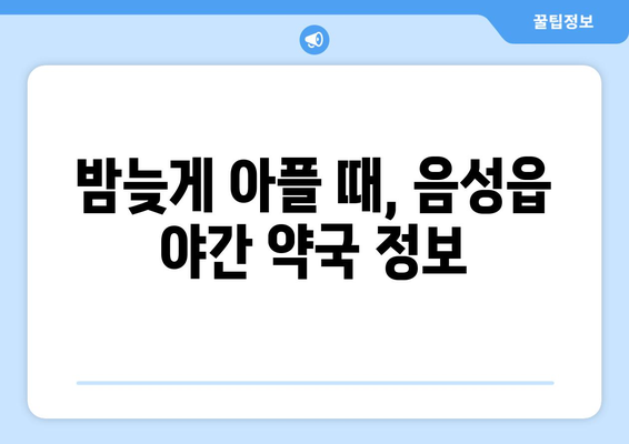 충청북도 음성군 음성읍 24시간 토요일 일요일 휴일 공휴일 야간 약국