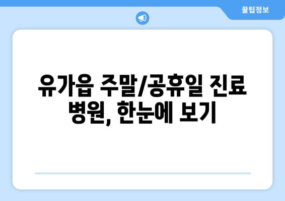 대구시 달성군 유가읍 일요일 휴일 공휴일 야간 진료병원 리스트