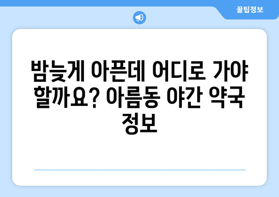 세종시 세종특별자치시 아름동 24시간 토요일 일요일 휴일 공휴일 야간 약국