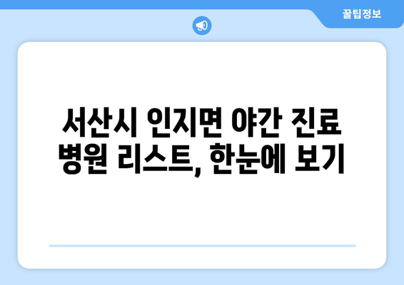 충청남도 서산시 인지면 일요일 휴일 공휴일 야간 진료병원 리스트