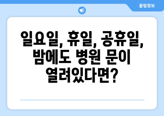 충청남도 홍성군 광천읍 일요일 휴일 공휴일 야간 진료병원 리스트