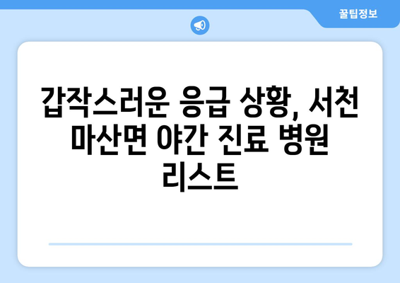 충청남도 서천군 마산면 일요일 휴일 공휴일 야간 진료병원 리스트