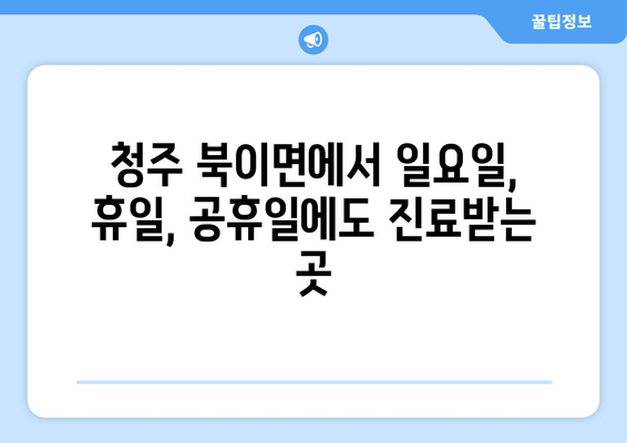 충청북도 청주시 청원구 북이면 일요일 휴일 공휴일 야간 진료병원 리스트