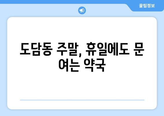 세종시 세종특별자치시 도담동 24시간 토요일 일요일 휴일 공휴일 야간 약국