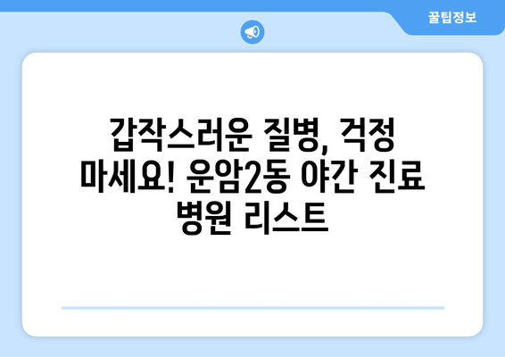 광주시 북구 운암2동 일요일 휴일 공휴일 야간 진료병원 리스트