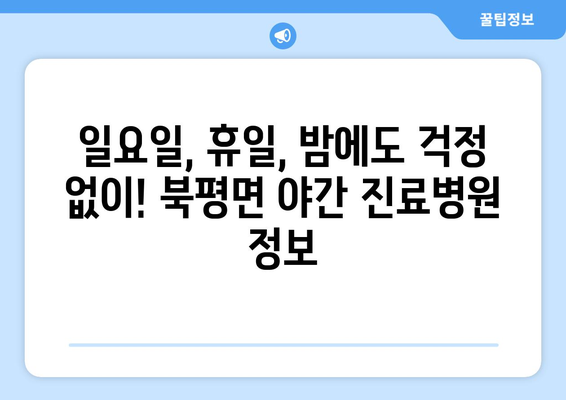 강원도 정선군 북평면 일요일 휴일 공휴일 야간 진료병원 리스트