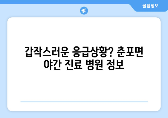 전라북도 익산시 춘포면 일요일 휴일 공휴일 야간 진료병원 리스트