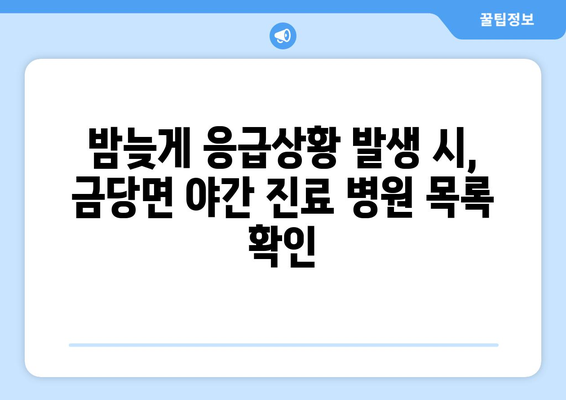 전라남도 완도군 금당면 일요일 휴일 공휴일 야간 진료병원 리스트