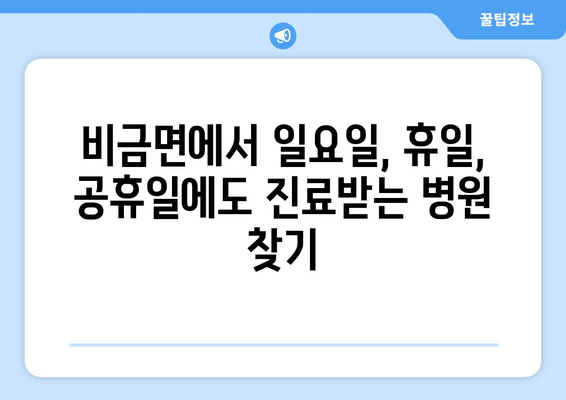 전라남도 신안군 비금면 일요일 휴일 공휴일 야간 진료병원 리스트