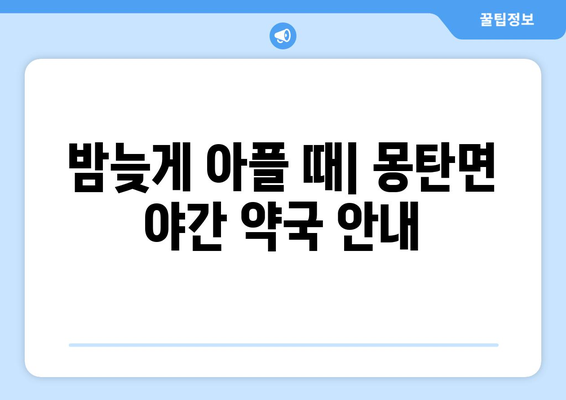 전라남도 무안군 몽탄면 24시간 토요일 일요일 휴일 공휴일 야간 약국