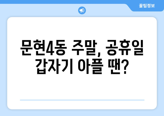 부산시 남구 문현4동 일요일 휴일 공휴일 야간 진료병원 리스트