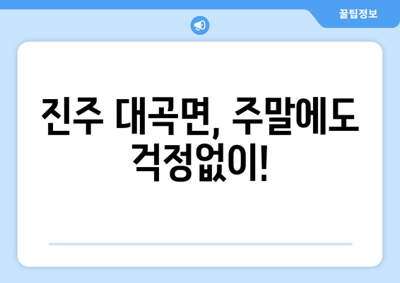 경상남도 진주시 대곡면 일요일 휴일 공휴일 야간 진료병원 리스트