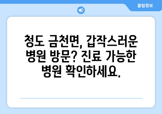 경상북도 청도군 금천면 일요일 휴일 공휴일 야간 진료병원 리스트