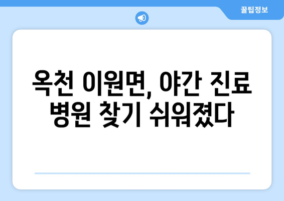 충청북도 옥천군 이원면 일요일 휴일 공휴일 야간 진료병원 리스트